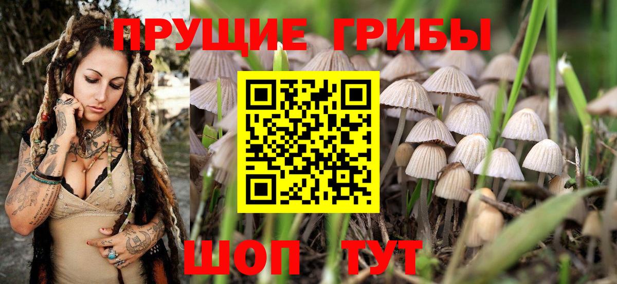 Псилоцибиновые грибы MAGIC MUSHROOMS  Вход с VPN  Галлюциногенные грибы ЛСД  Апатиты 