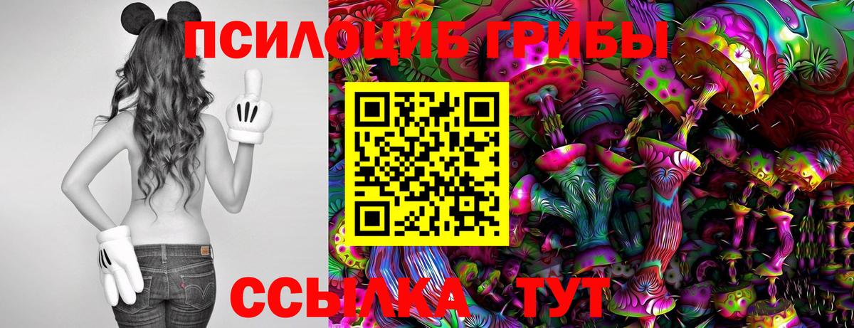Галлюциногенные грибы Psilocybine cubensis Апатиты
